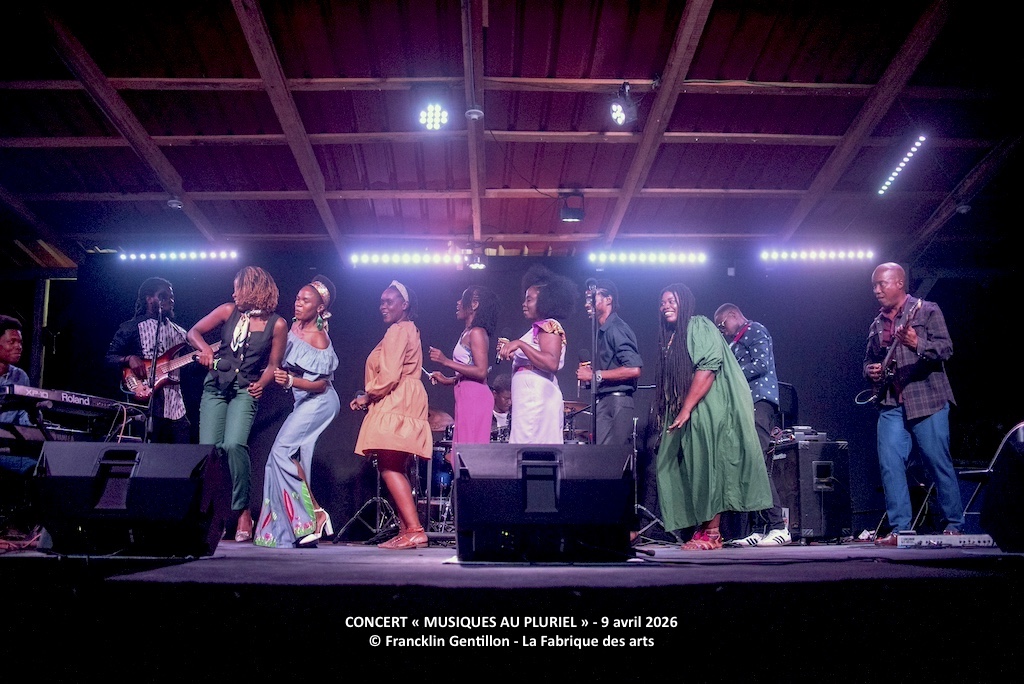 MUSIQUES AU PLURIEL