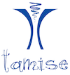 TAMISE